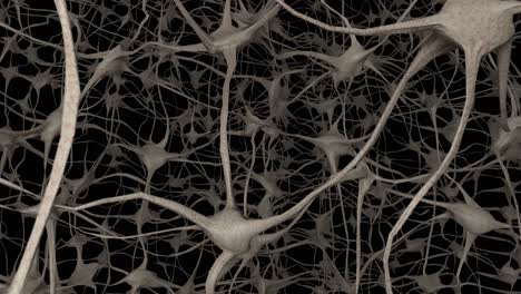 Neurons-brain-mind-axon-thought-neural-network-dendrite-cell-health-science-4k
